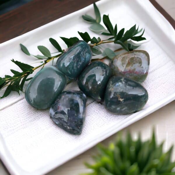 Five polished Moss Agate Tumble Stones are grouped on a white tray, accented by green sprigs, with a blurred potted plant in the background.