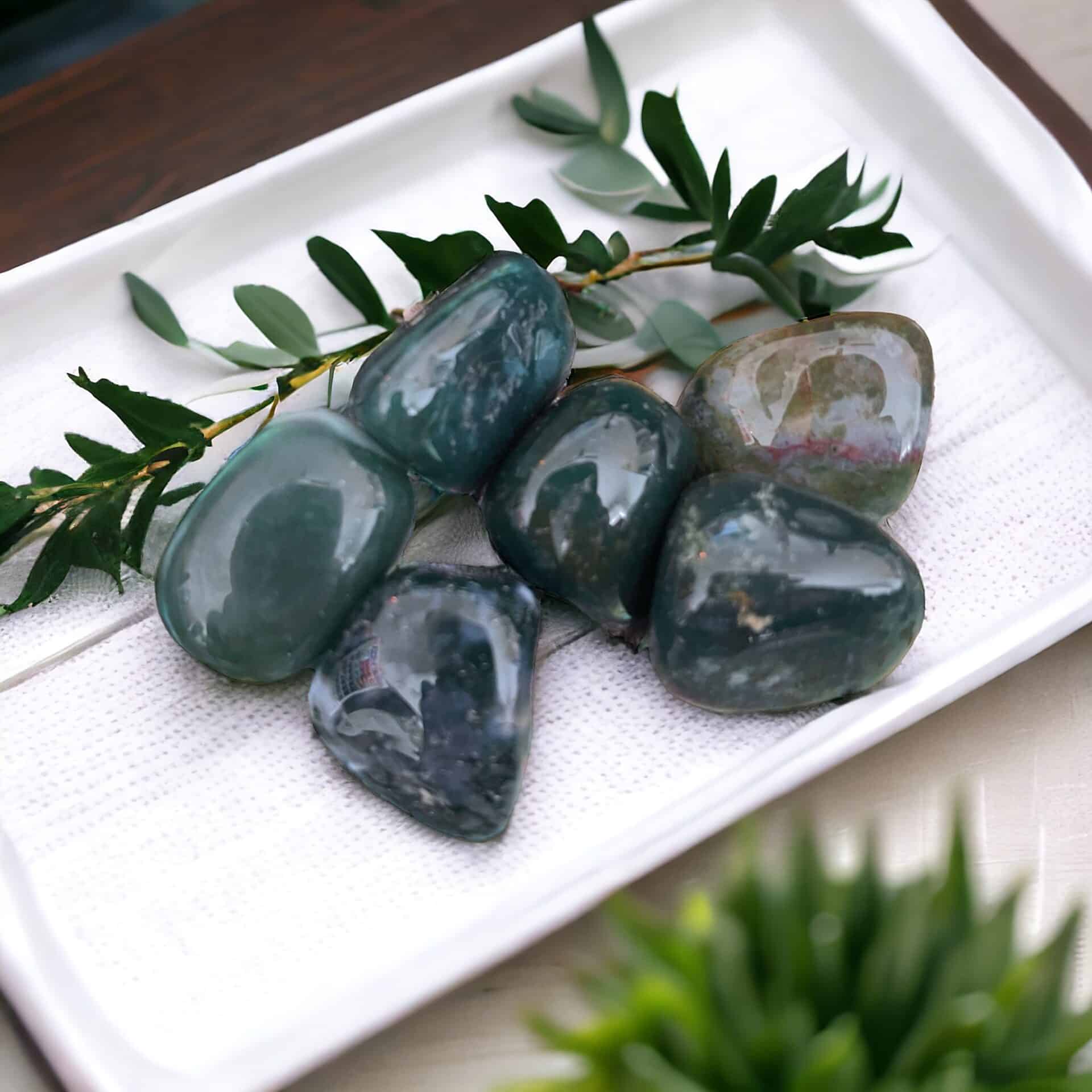 Five polished Moss Agate Tumble Stones are grouped on a white tray, accented by green sprigs, with a blurred potted plant in the background.