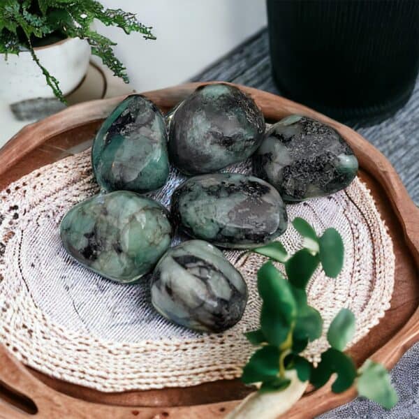 A wooden tray displays six polished Emerald Tumble Stone Crystals, their rich green and black hues gleaming atop a woven mat, surrounded by lush potted plants and greenery.