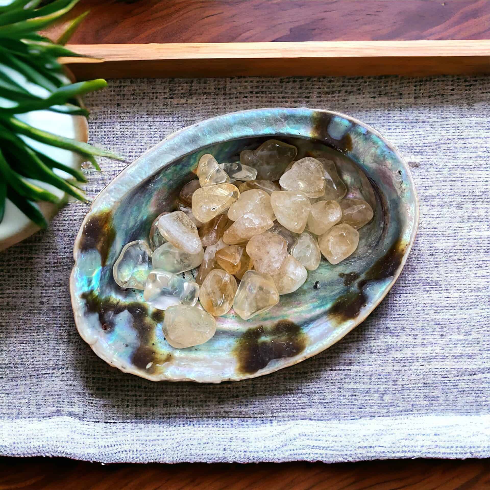 A decorative abalone shell holds small, polished Citrine Tumble Stones—Product: Citrine Tumble Stone small—displayed on a gray cloth with a potted plant partially visible in the corner.