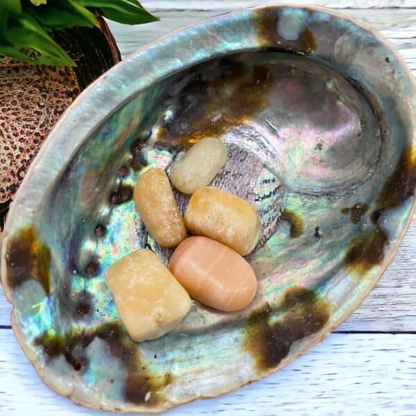 A Yellow Calcite Tumble Stone, smooth and polished, sits inside an iridescent abalone shell on a white wooden surface, with part of a plant in the background.