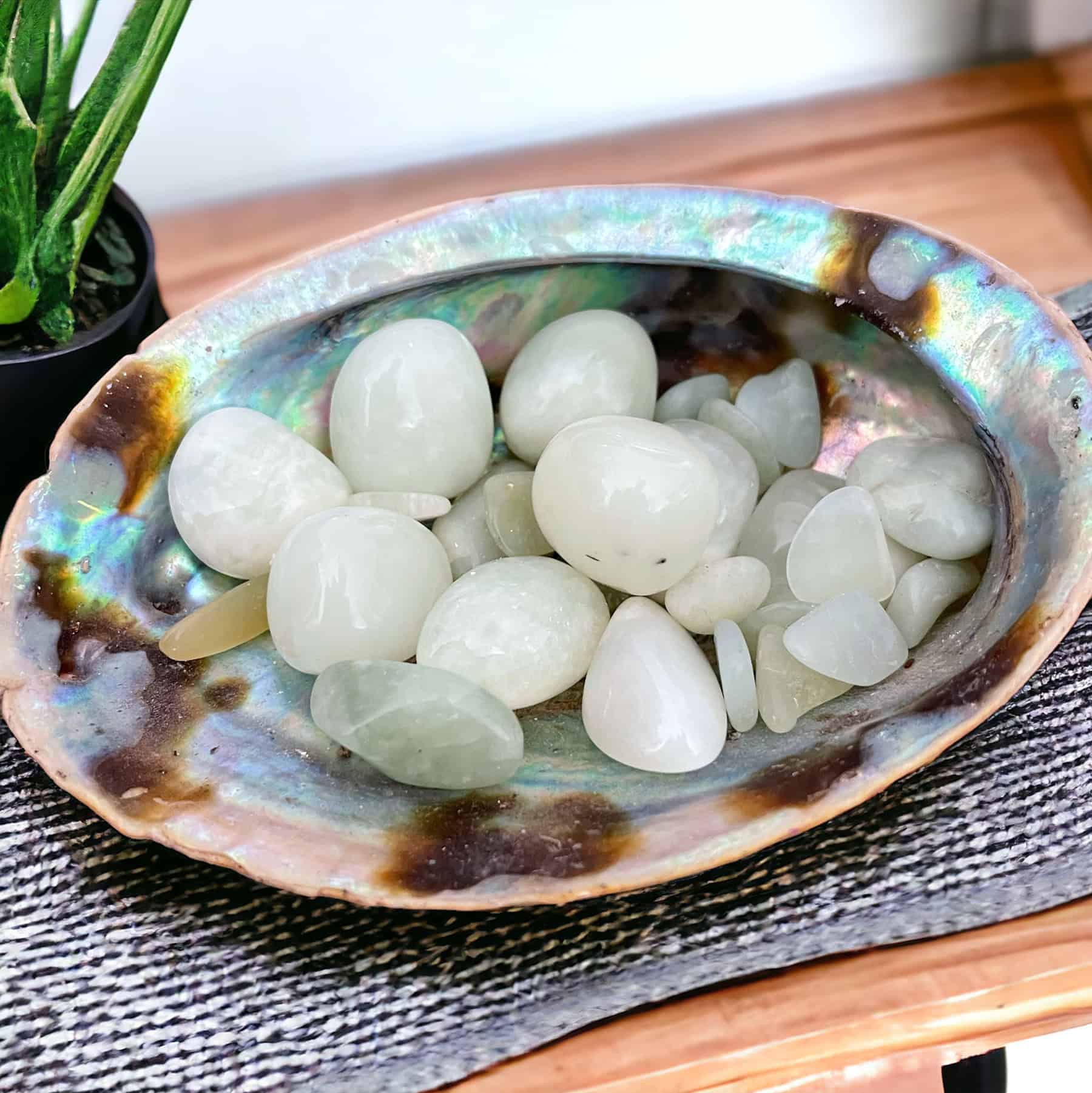 A large, iridescent shell holds smooth, polished New Jade Tumble Stones and rests on a woven mat beside a potted plant atop a wooden surface.