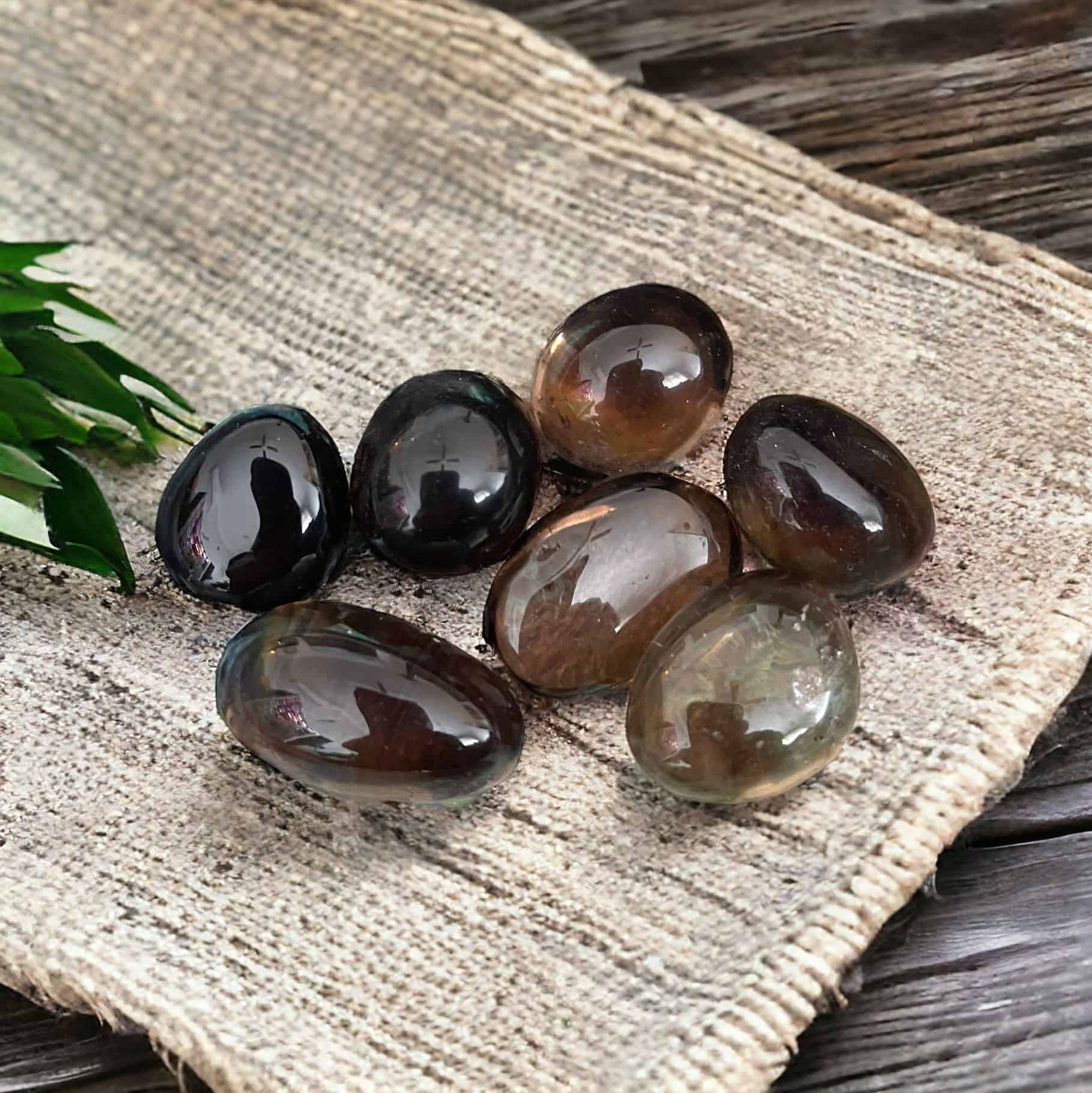 Six polished, oval Smokey Quartz Tumble Stones are arranged on a textured beige mat with a green leafy plant in the corner, all set on a dark wooden surface.