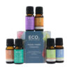 Six bottles from the Holistic Health Essential Oil Collection are arranged around its blue box, featuring blends like lavender, energy, and sinus clear for holistic wellness, all set against a white background.