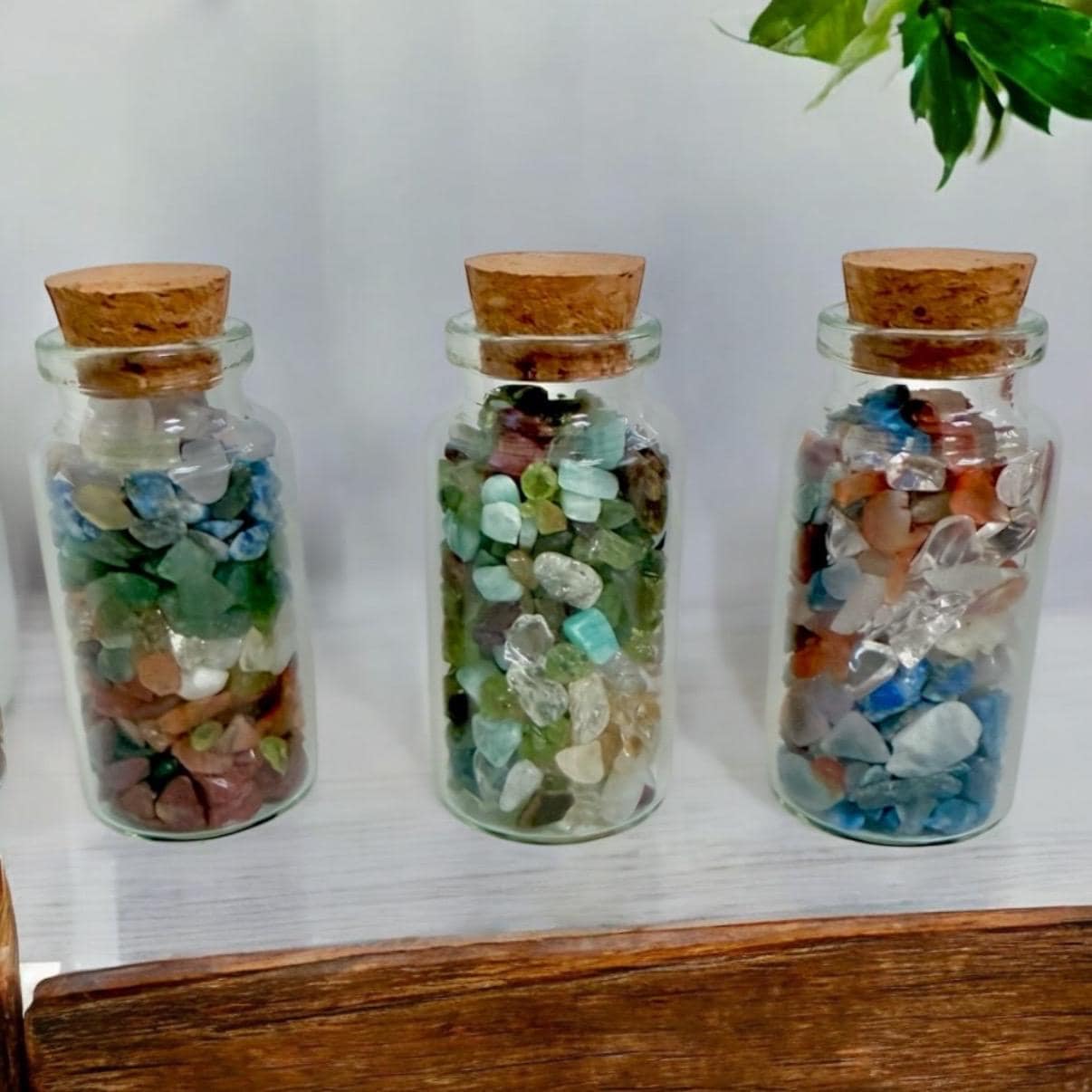 Three small glass jars with cork lids, each filled with colorful polished gemstones or crystals, are displayed side by side on a white surface. A green plant is partially visible in the upper right corner.