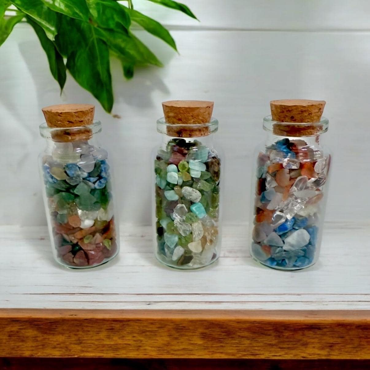 Three small glass bottles with cork lids, each filled with colorful polished gemstones, are displayed side by side on a white wooden surface. Green leaves hang from above in the background.