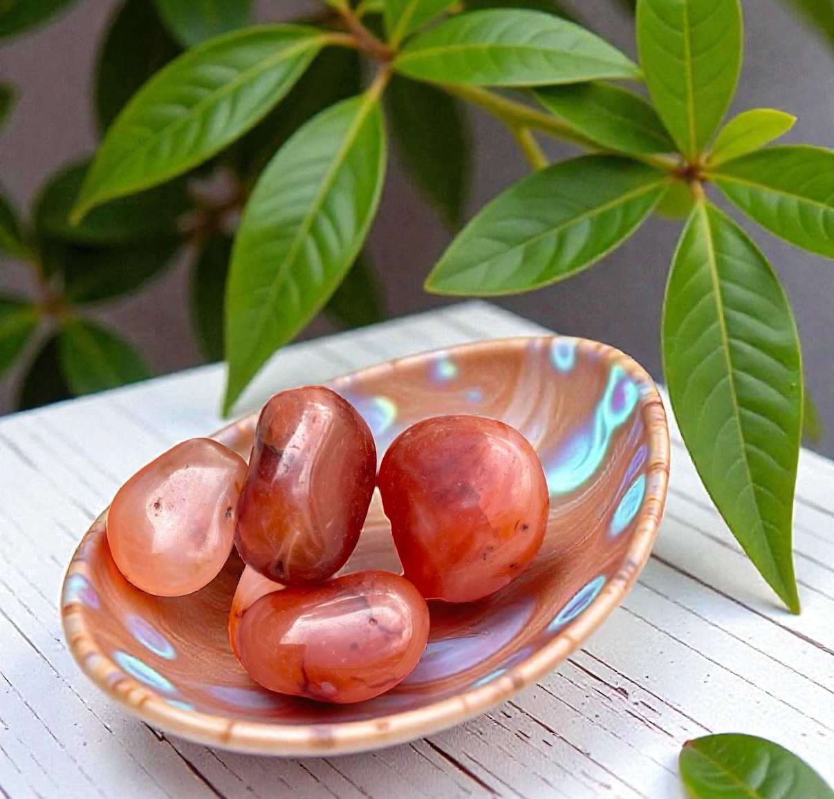 Carnelian Tumble Stones