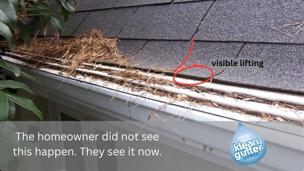 Gutter leaf guard with visible lifting on roof edge.