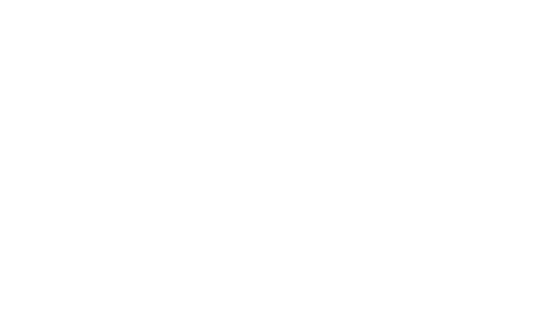 NASPAA Logo in White