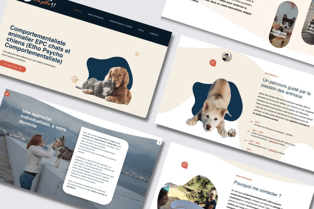 Webdesign - L'apostrophe