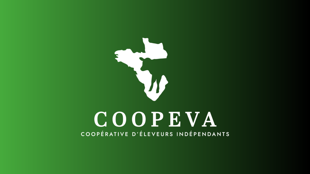 Coopeva : déclinaison de l'identité visuelle