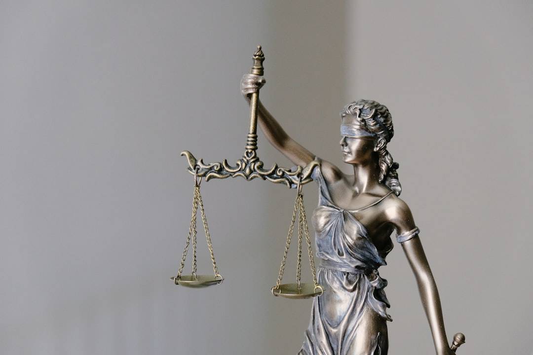 Photo Basics of Constitutional Law