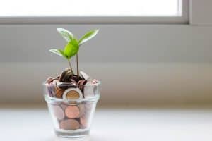 Photo Financial report
