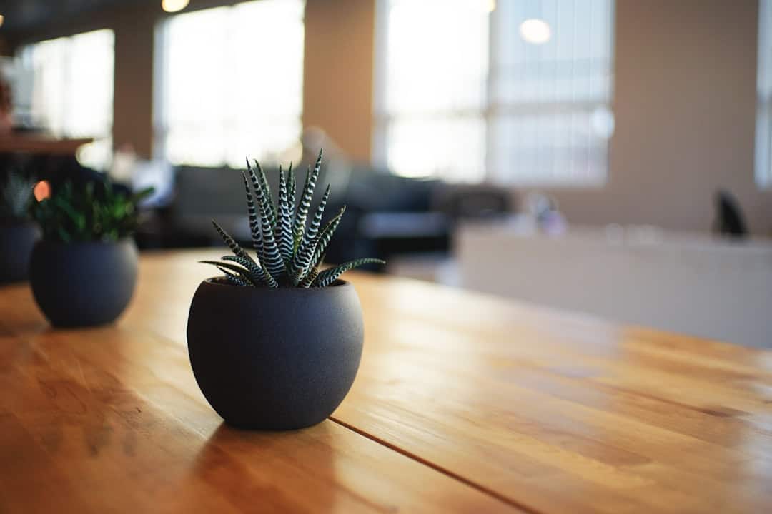 Photo Real estate lawyer