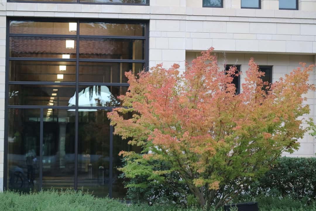 Photo Stanford Law