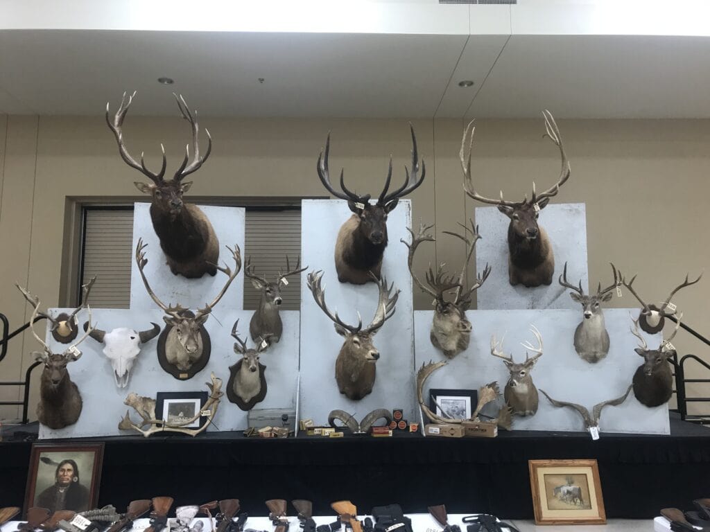 Deer mounts with antlers displayed on a wall at Garrett Realty & Auction.