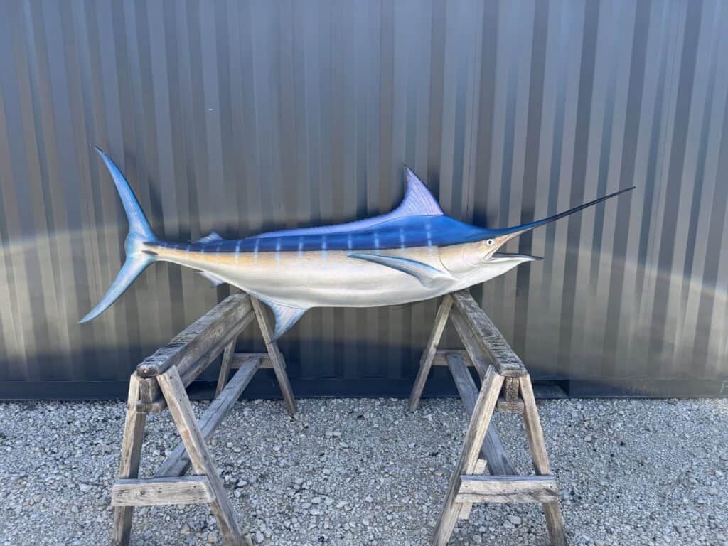 Realistic marlin trophy fish mount for auction display.