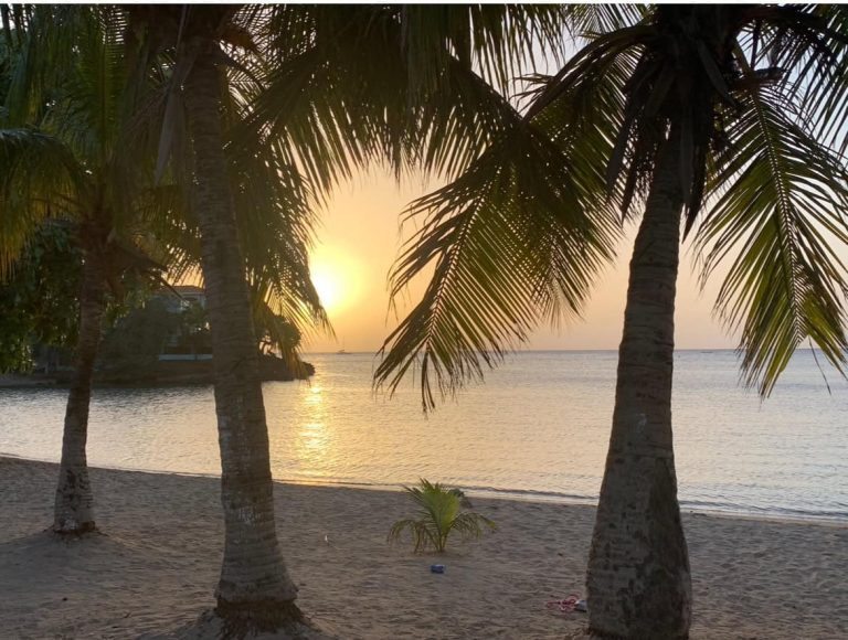 Best Restaurants in West End Roatan: Where to Eat and Drink
