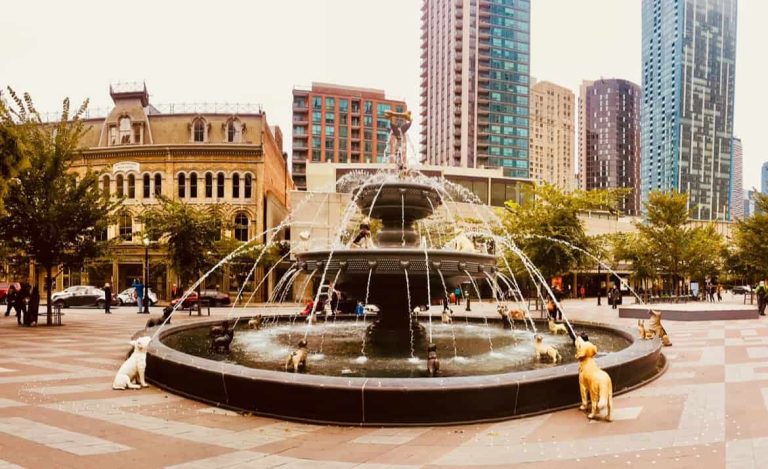 Toronto: 10 Top Places to Eat and Drink