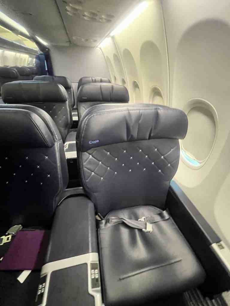 Empty airplane seats with black leather upholstery and windows on the side.