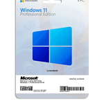 Windows 11 Professional 5PC