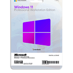 Windows 11 Professional Workstation