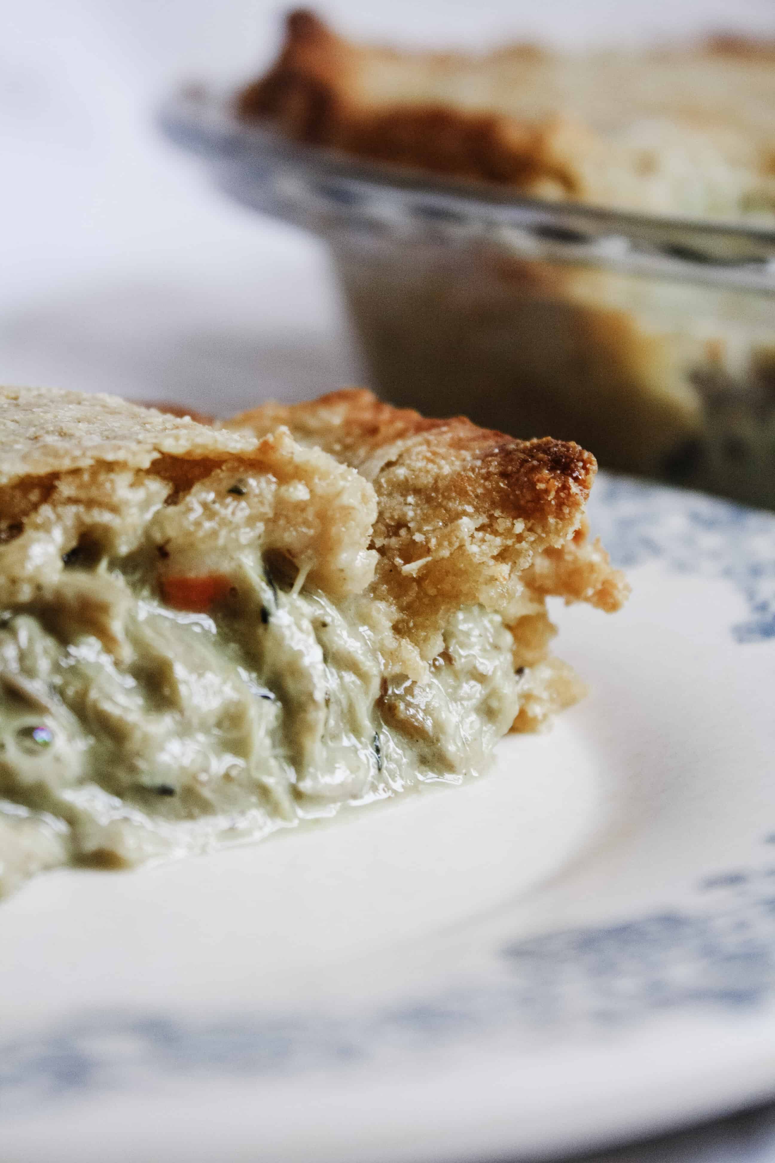 Homemade Pot Pie with Rabbit Meat