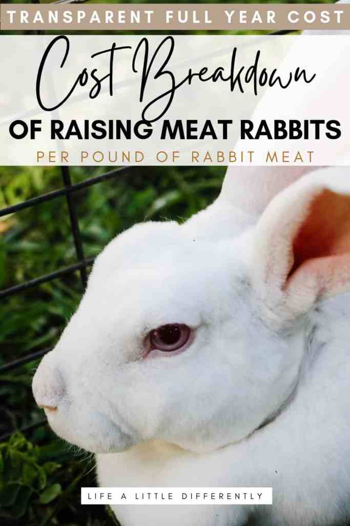 cost per pound to raise rabbit meat cost per pound to raise meat rabbits