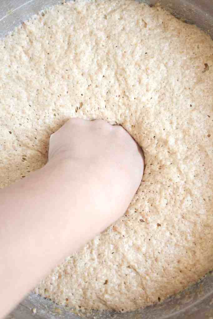 spelt dinner rolls punch spelt dinner rolls dough