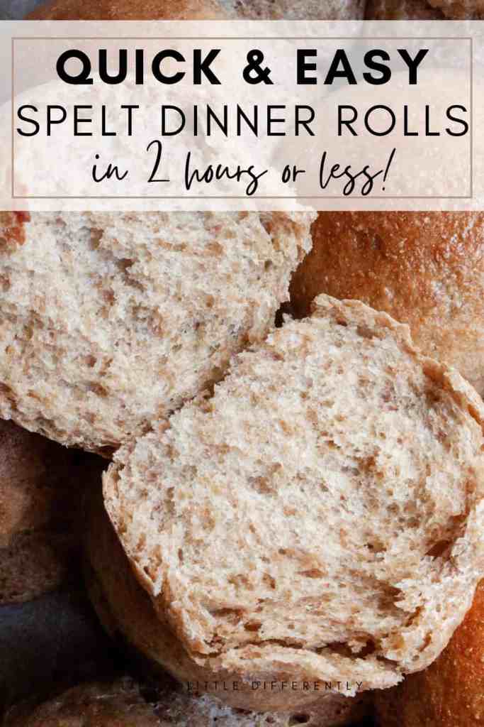 spelt dinner rolls quick and easy spelt dinner rolls
