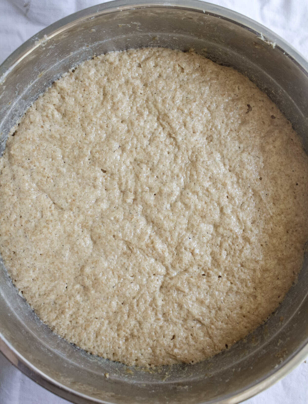risen spelt dinner roll risen spelt dinner rolls
