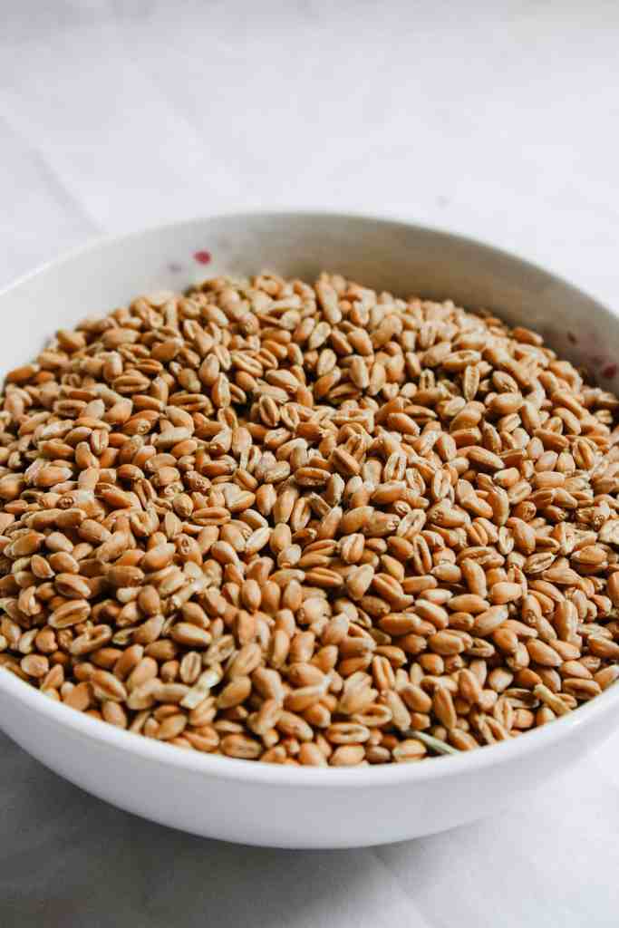 how to make fresh milled pie crust from scratch spelt for pie crust