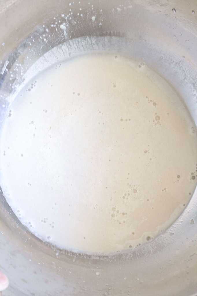 spelt dinner rolls yeast for spelt dinner rolls