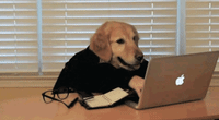 A playful image of a dog using a laptop, emphasizing the rapid advancement of technology and its integration into everyday life.