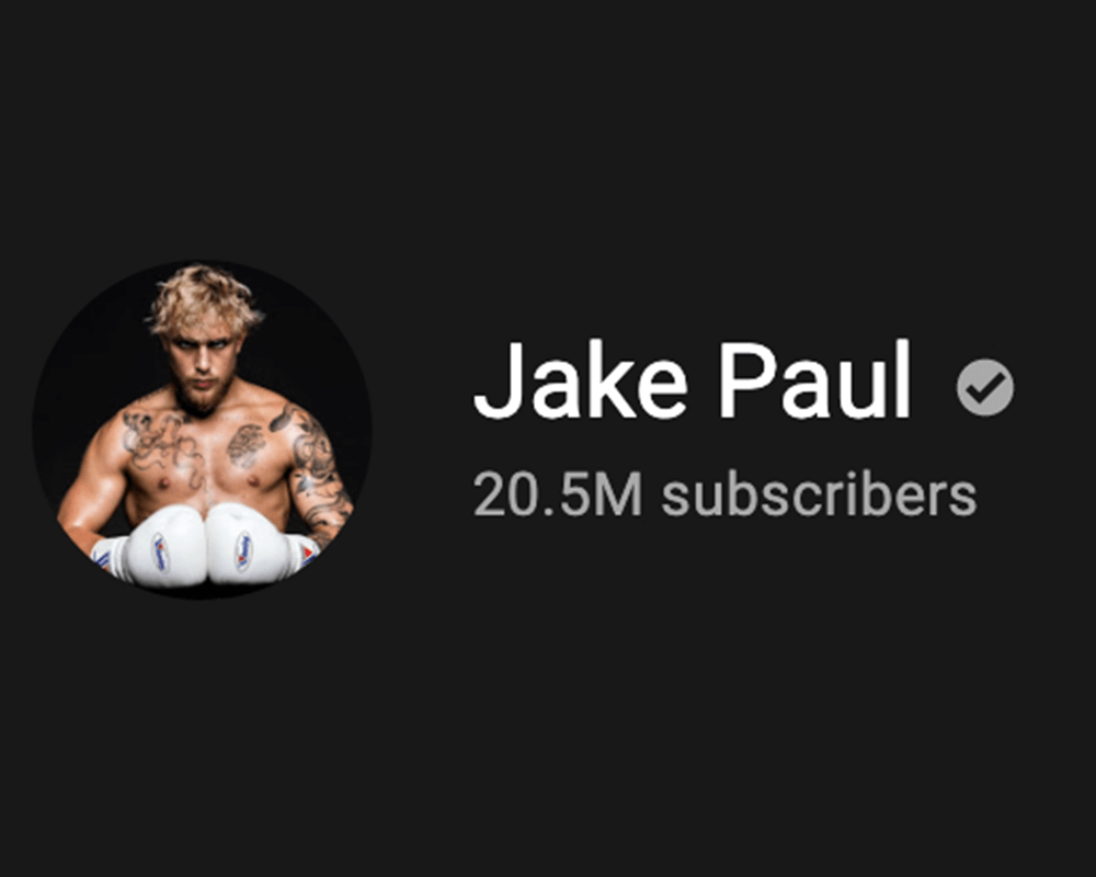 The Jake Paul Effect, Analyzing the impact of controversial influencers on digital marketing strategies.