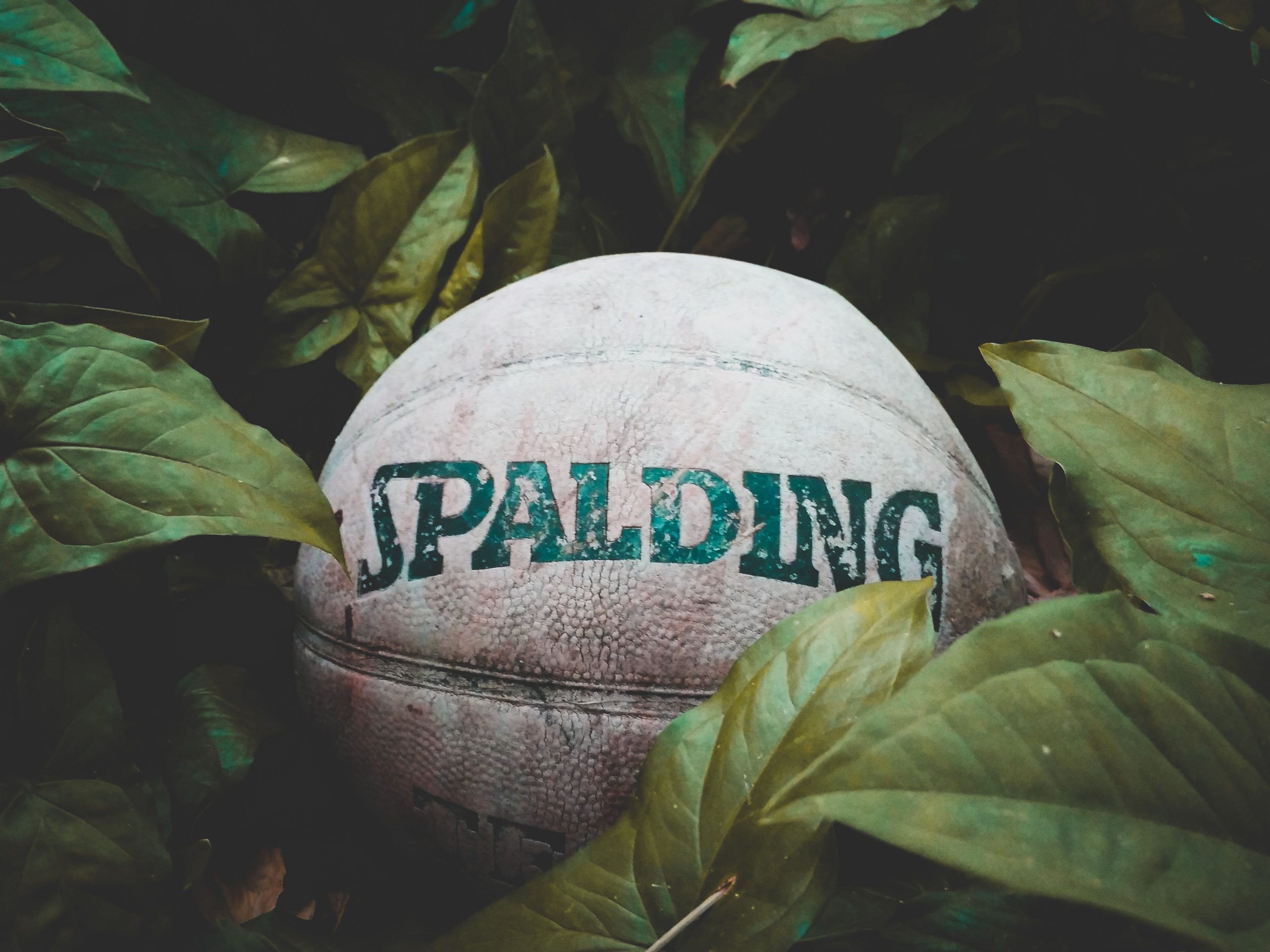The iconic Spalding logo, representing a rich history in sports equipment and athletic performance.