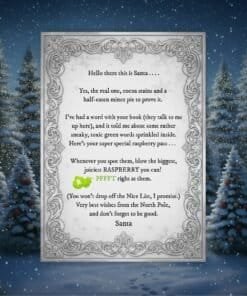 A silver-framed Santa letter sits smugly in a snowy forest, whilst a green bird emoji goes 