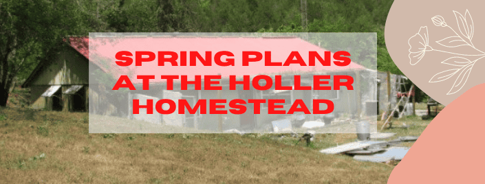 Episode 530: Spring Plans at the Holler Homestead