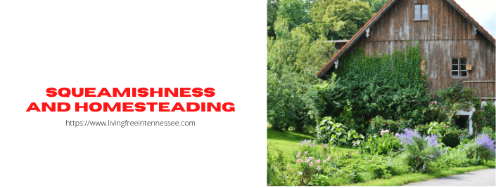 Episode 533 – Squeamishness and Homesteading