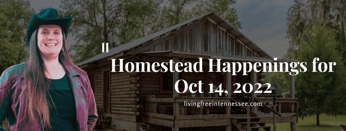 Episode 635 – Homestead Happenings for Oct 14, 2022