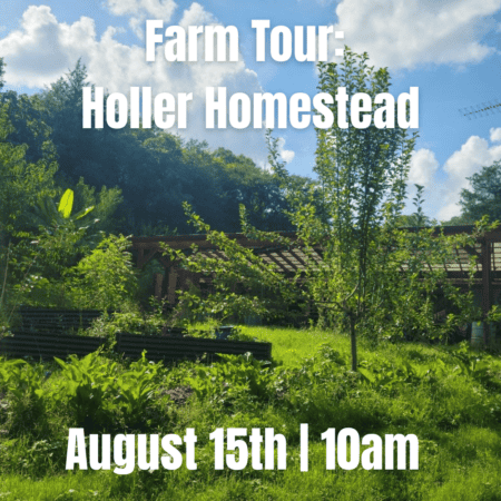 Holler Homestead Farm Tour — August 15