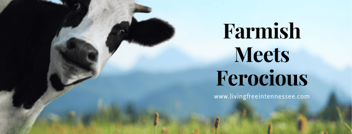Episode 547 – Farmish Meets Ferocious