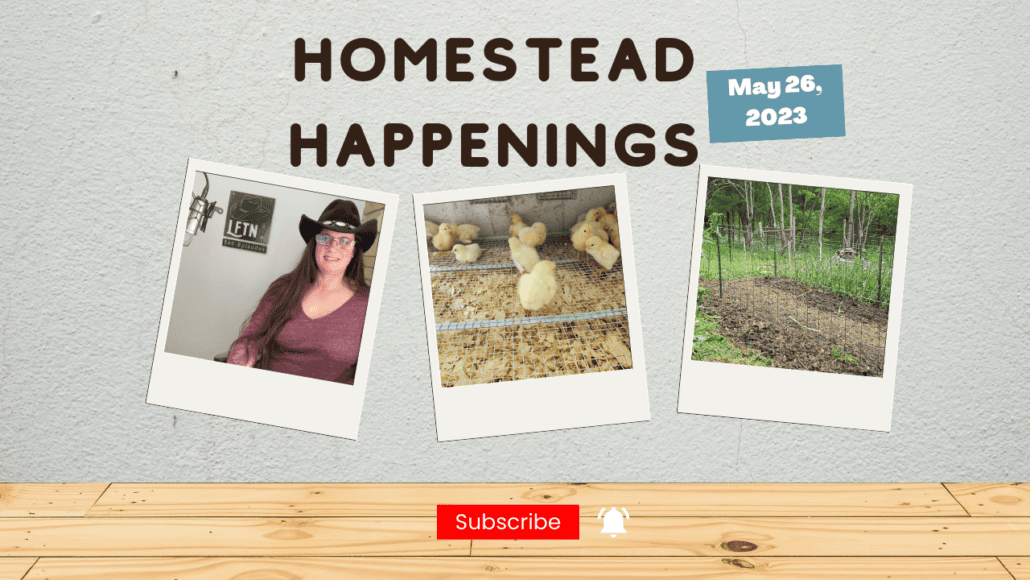 Homestead Happenings for May 26, 2023 – Ep 751