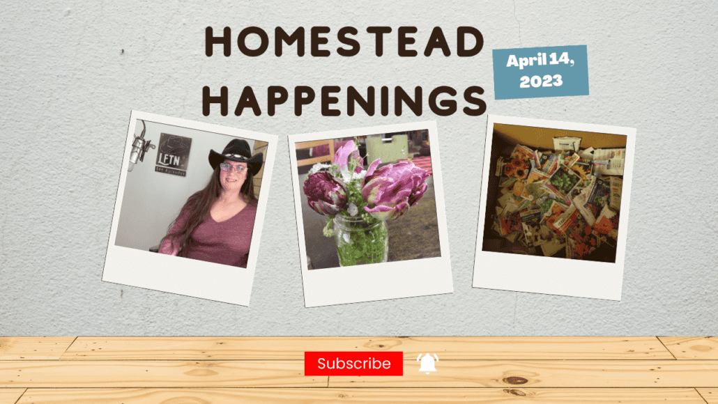 Homestead Happenings for April 14, 2023 – Ep 725