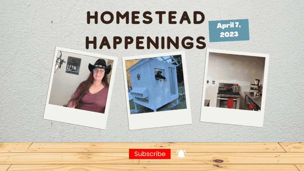 Homestead happenings for April 7, 2023 – Ep 721