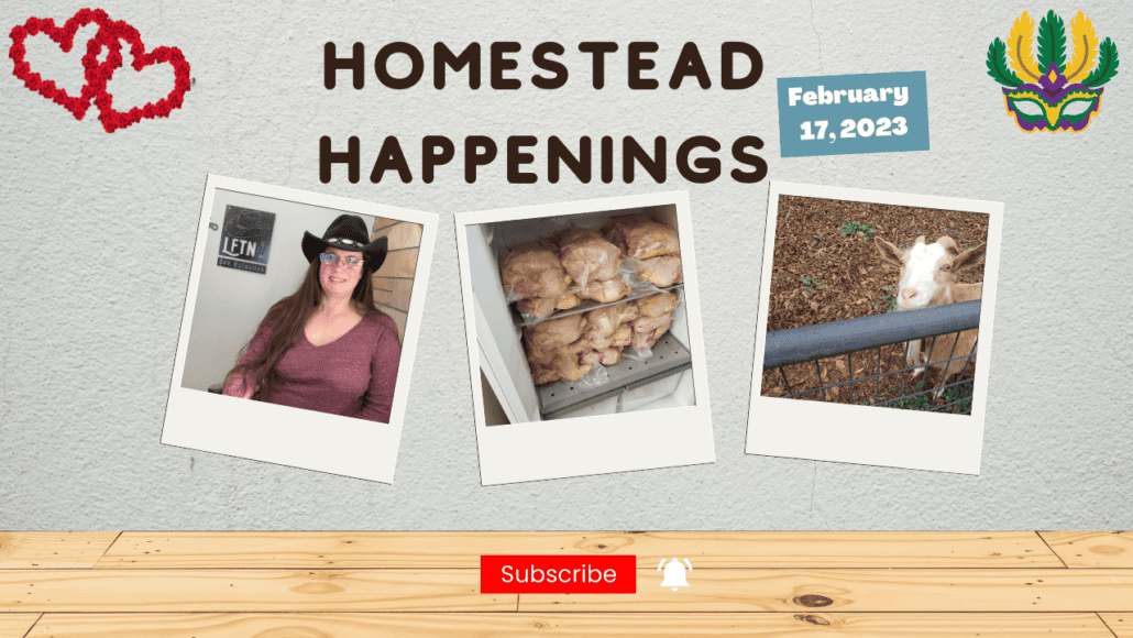 Episode 700 – Homestead happenings for Feb 17, 2023