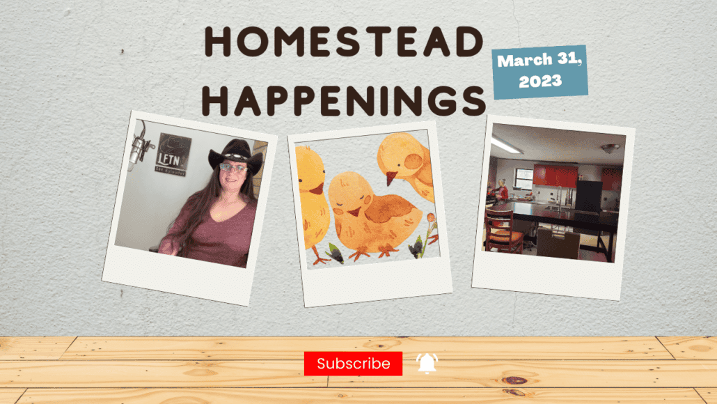 Homestead Happenings for March 31, 2023 – Ep 717