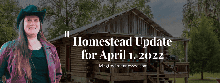 Episode 551 – Homestead Update for April 1, 2022