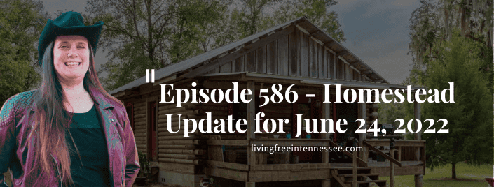 Episode 586 – Homestead Update for June 24, 2022