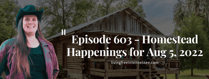 Episode 603 – Homestead Happenings for Aug 5, 2022